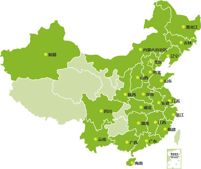销售网络